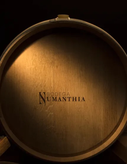Numanthia Red Blend