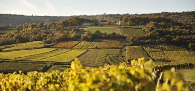 Pascal Prunier Bonheur Burgundy Red