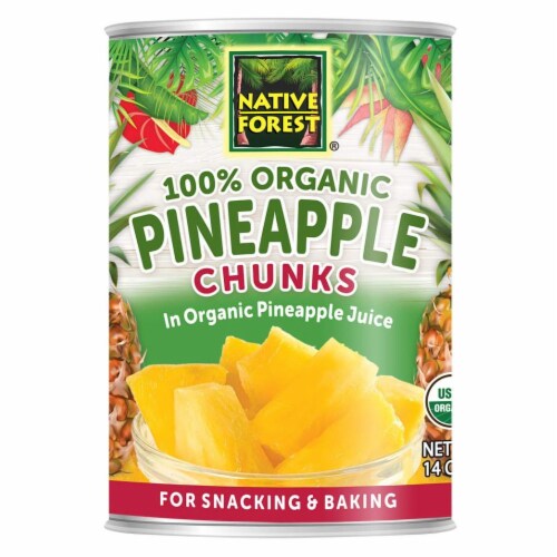 Cape May Chocolate Pineapple Prter 4 Pack Cans