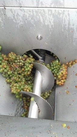 The Crusher Sauvignon Blanc