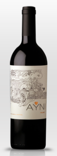 Ayni Malbec