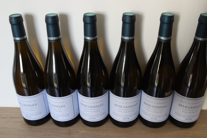Domaine Bruno Source Des Roches Marsannay Blanc
