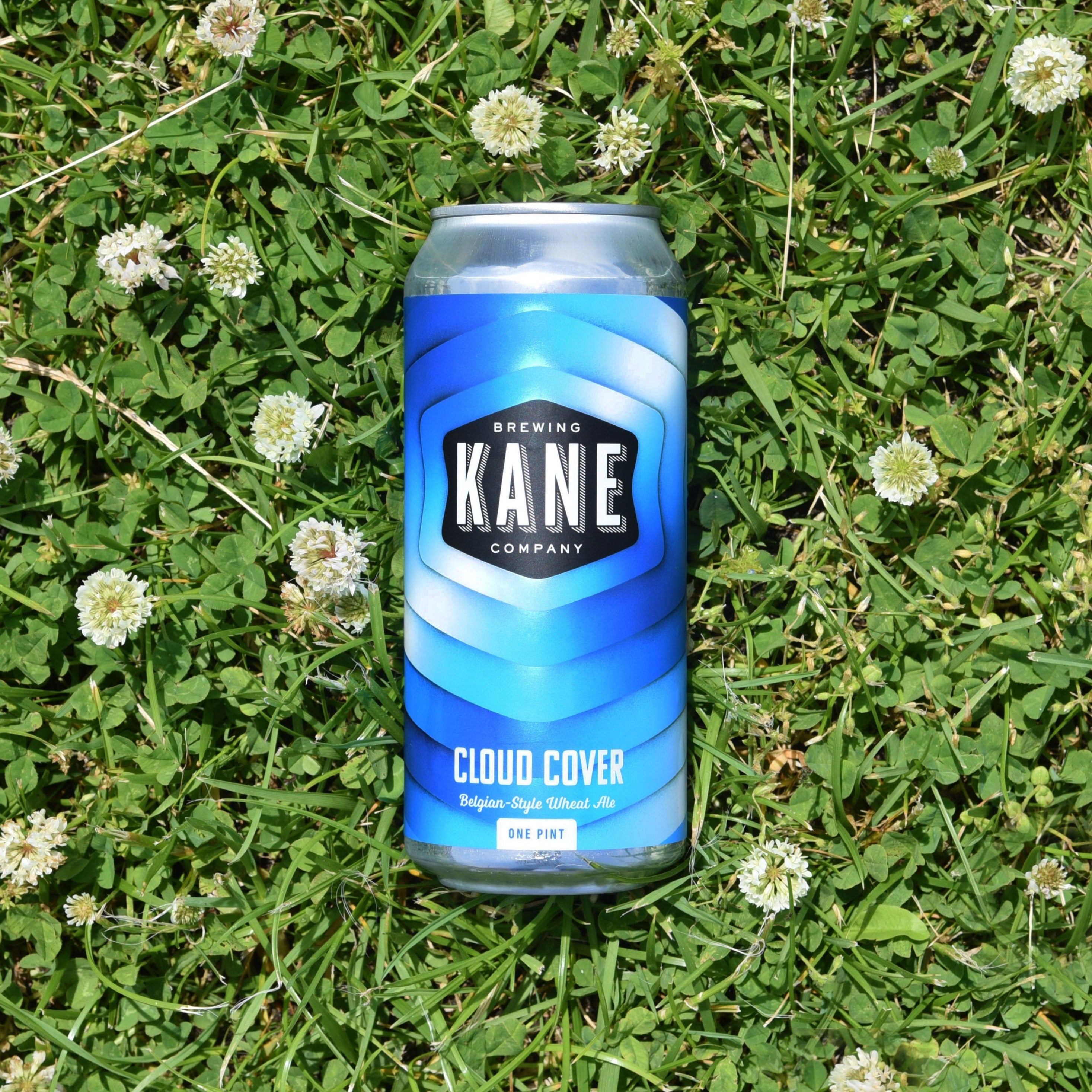 Kane Head Cloud Cover 4 Pack Cans